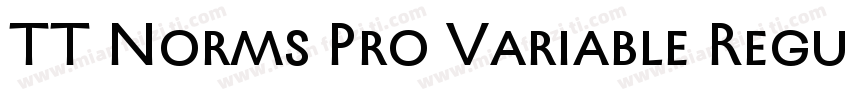 TT Norms Pro Variable Regular字体转换